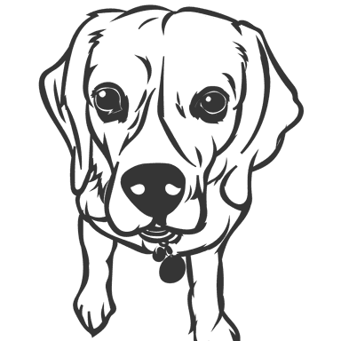 BesoMomma Dog Training and Behavior Management 's Avatar