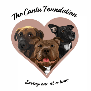 The Cantu Foundation's Avatar